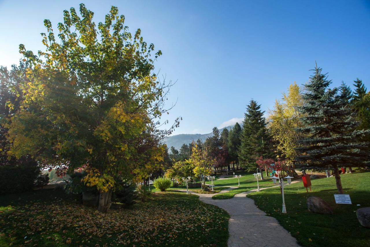 Abant Palace Hotel Kültér fotó